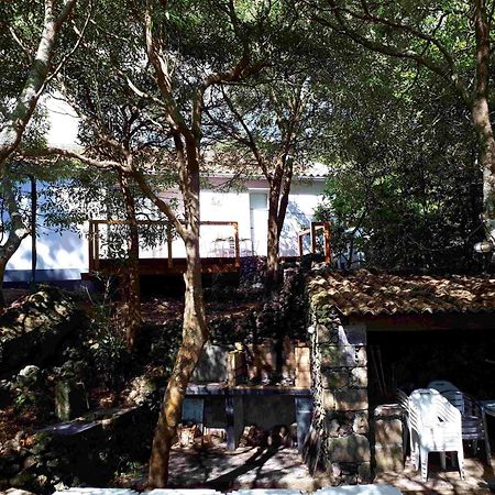 Quinta De Sao Caetano - Sao Miguel Acores Populo  Exterior foto