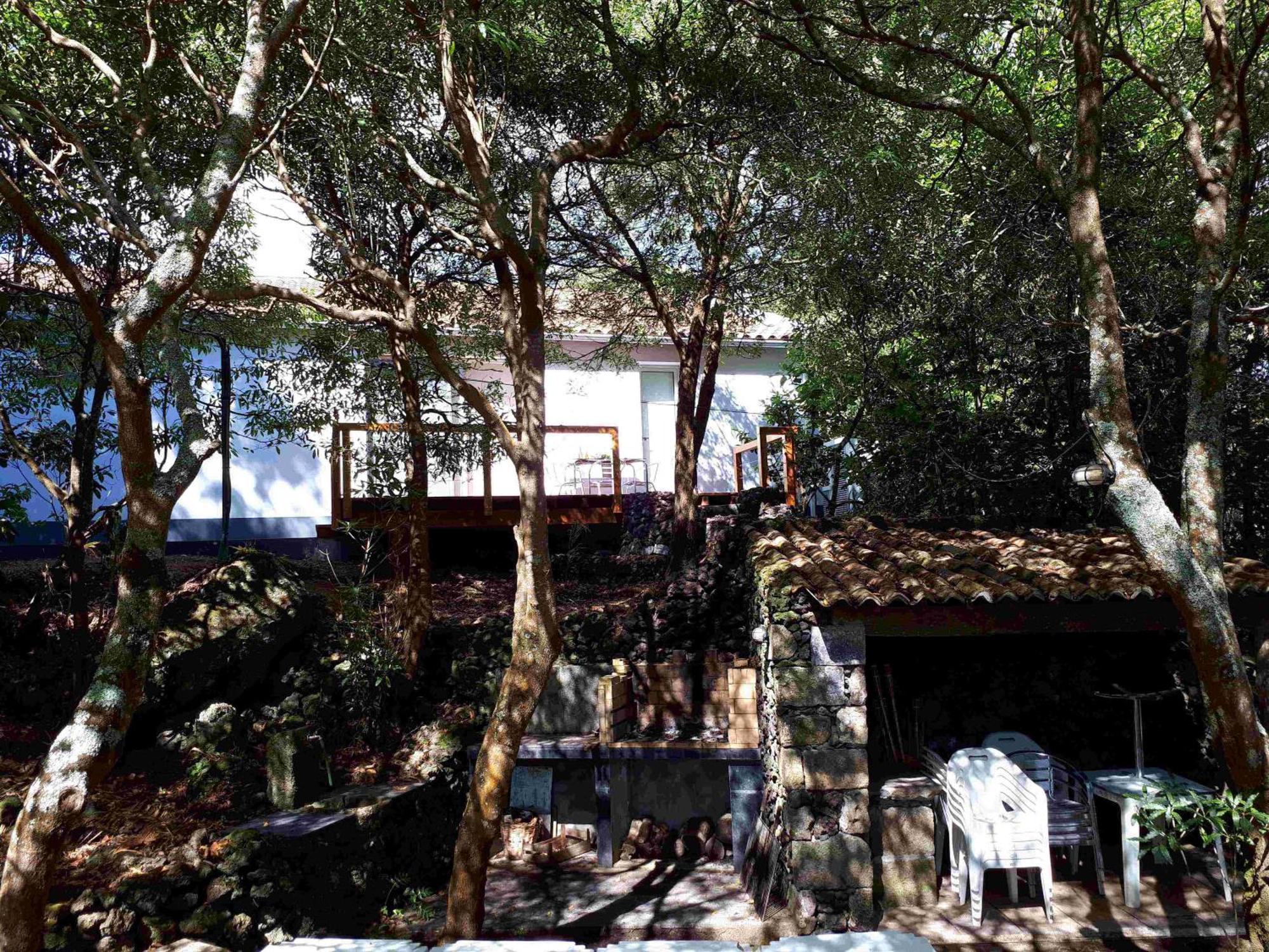 Quinta De Sao Caetano - Sao Miguel Acores Populo  Exterior foto